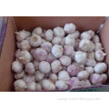 /msite/products/detail/productid/56325170/id/572588.html